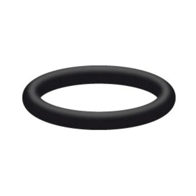 Interpump O-RING D. 17.13x2.62 HNBR 70SH 3068 - Spare Parts