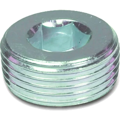 PLUG M24X1,5X17 S.S.