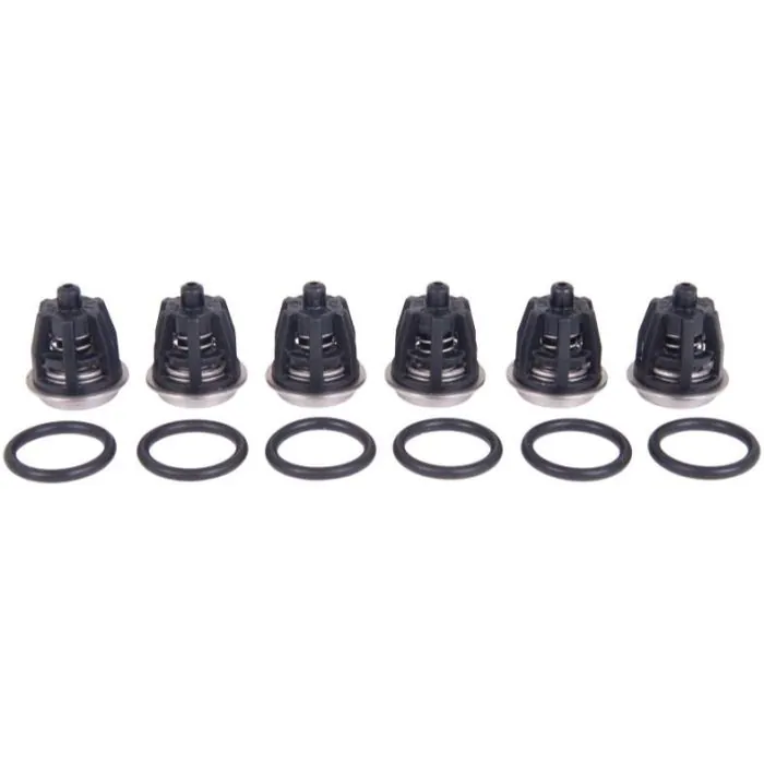KIT 1 INTAKE/DELIVERY VALVE