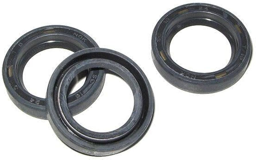 Interpump KIT 2 Oil Seal 22x32x5.5 - Spare Parts