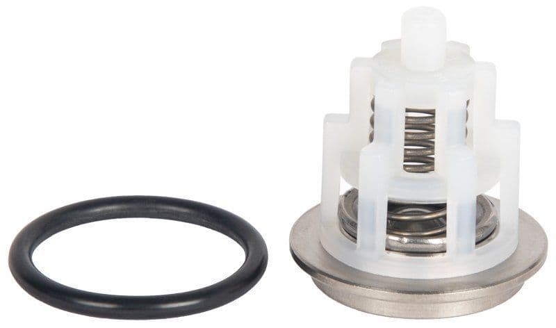 Interpump INTAKE/DEL.VALVE ASSY(66) - Gas Valves & Regulation