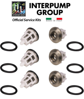 Interpump D.28-30 Piston Manifold NPT - Spare Parts