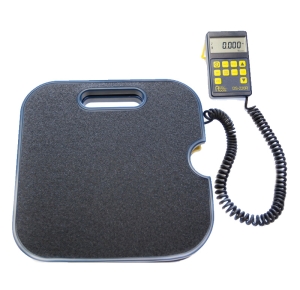 Balance 100 Kg / 2Gr DS220R