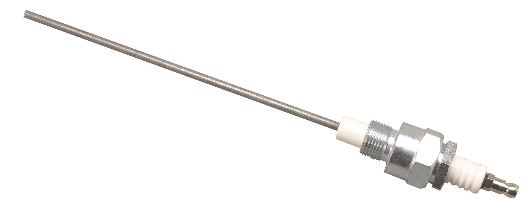 Electrode 6 in 300 NPT G3/4 LG 300 mm