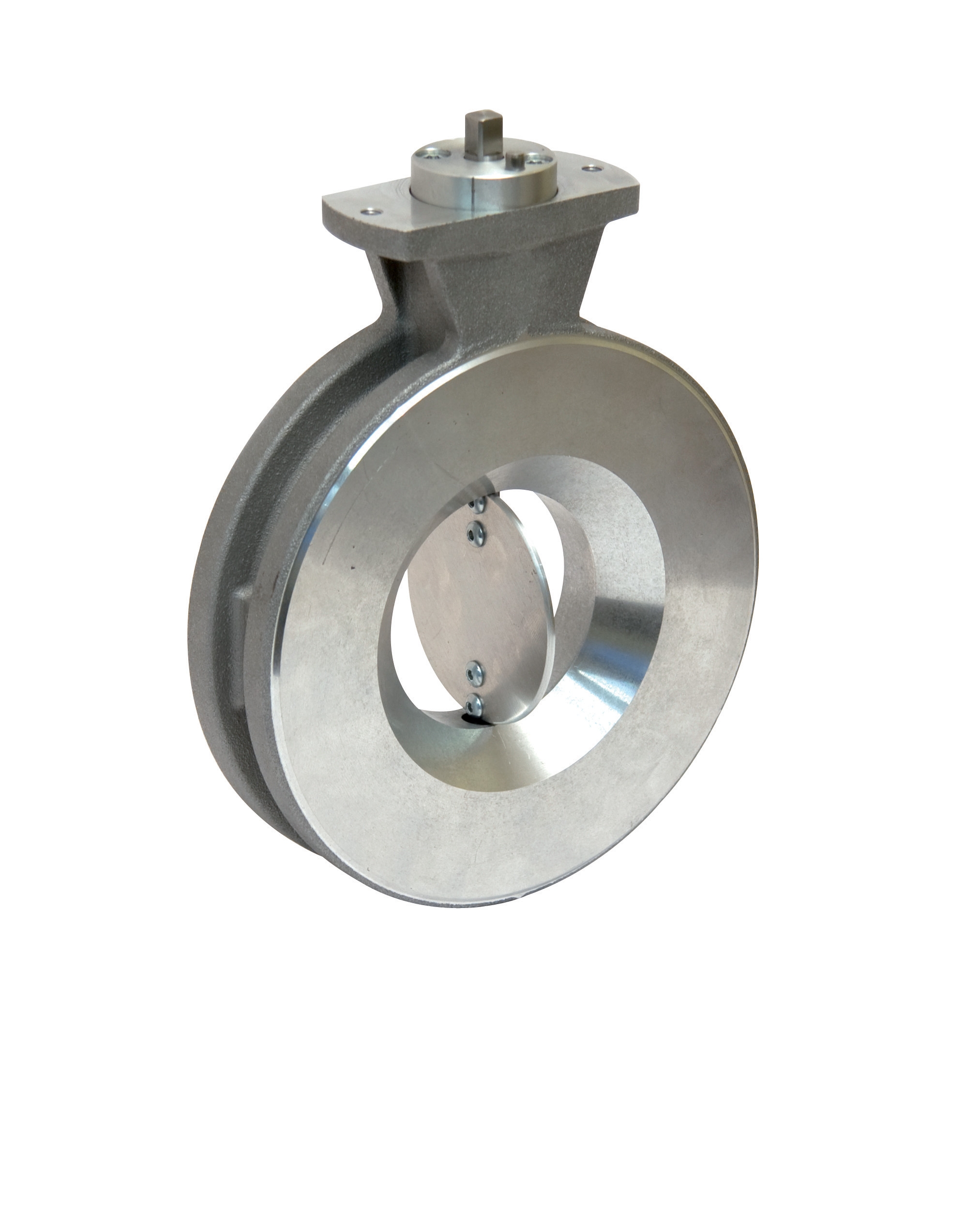 Butterfly valve VF9R DN 100