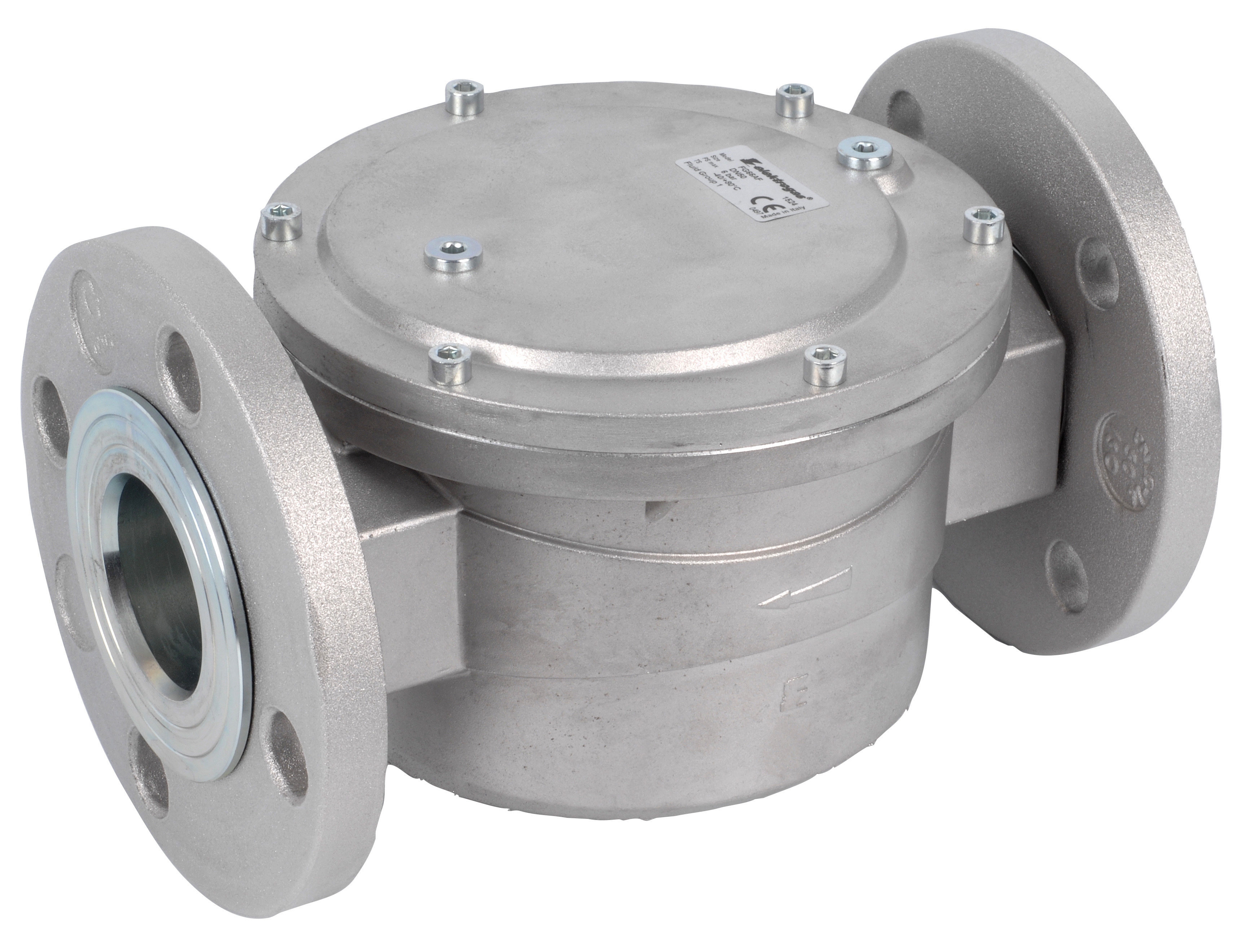 Gas filter 6 bar with DN50 flanges FG6-6A-F4