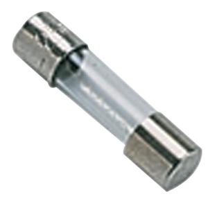Lot of 10 1A fuses celtic Chaffoteaux 60041557